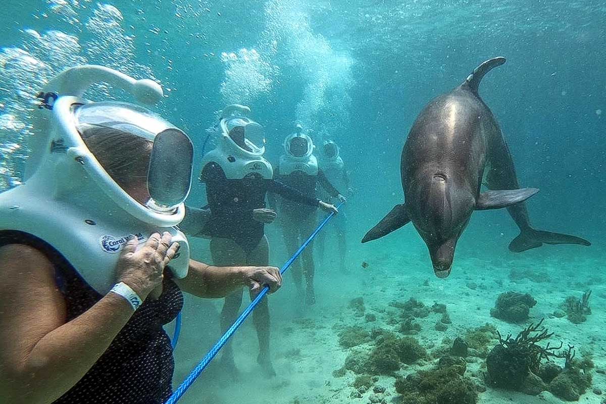 Coral World Ocean Park people on a sea trek on a tour in St Thomas Virgin Islands