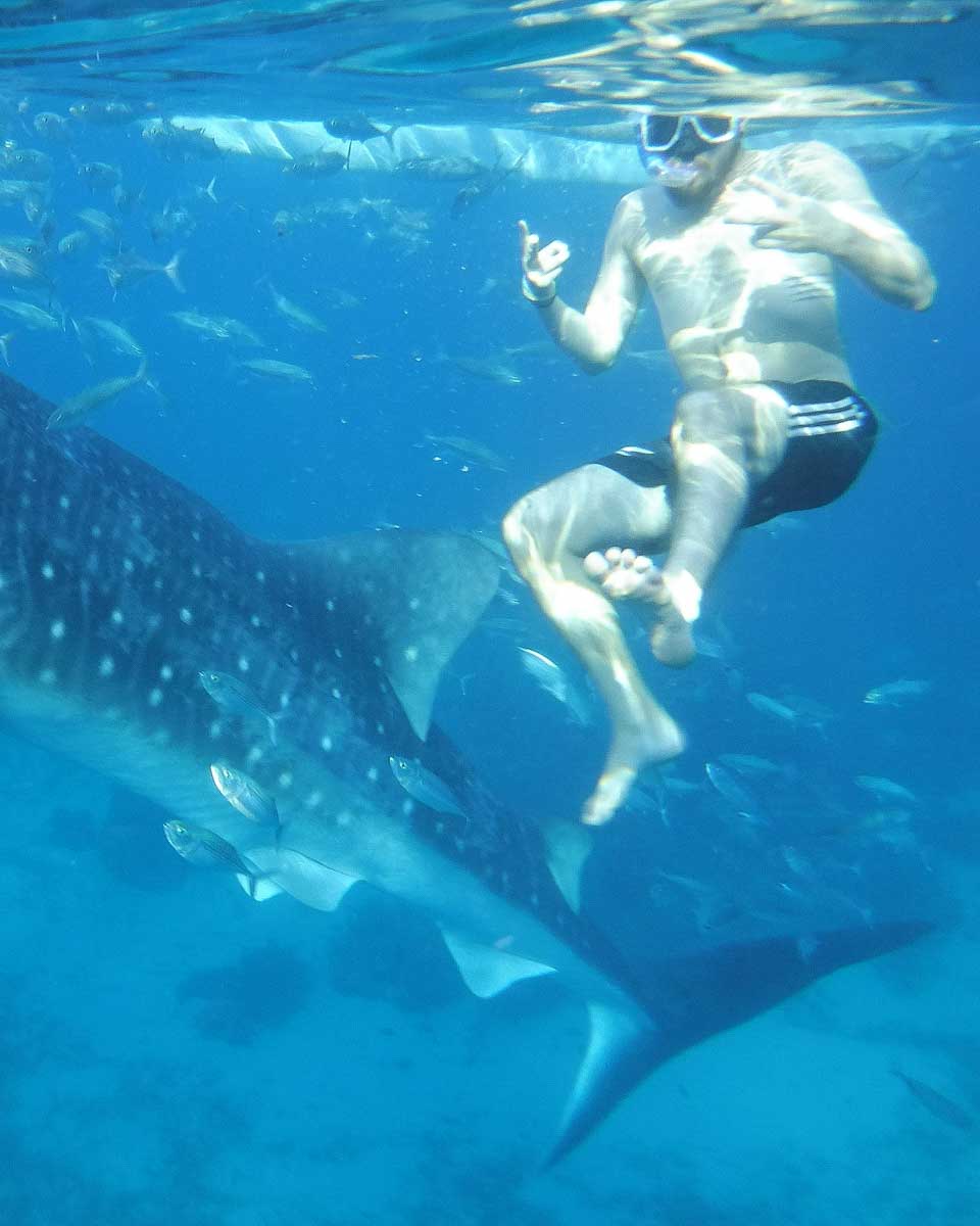 Daniel swims with a whale shark on a tour in Cebu Philippines