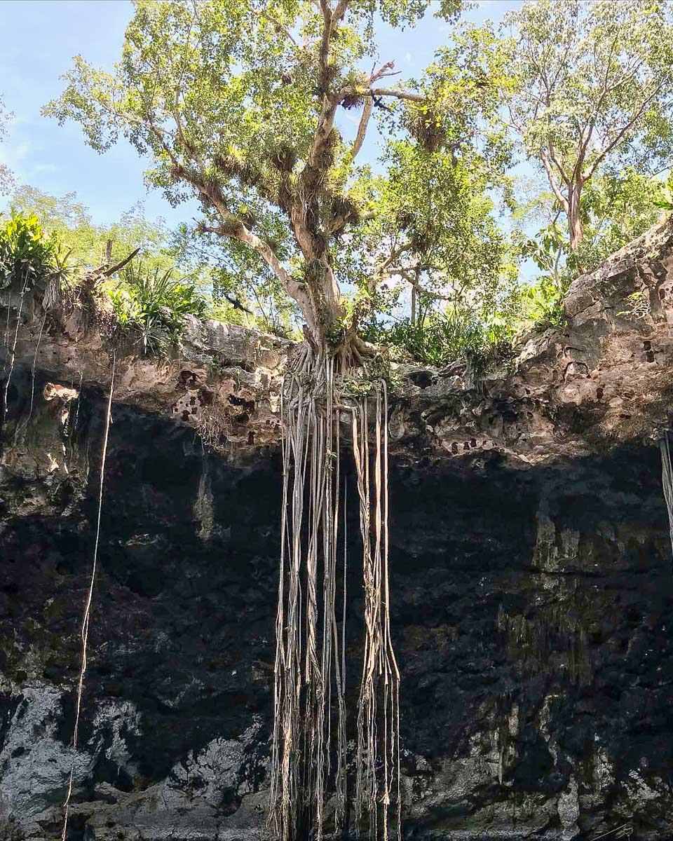 El Tigre de Santiago one of the Santa Barbara cenotes on a tour from Merida Mexico