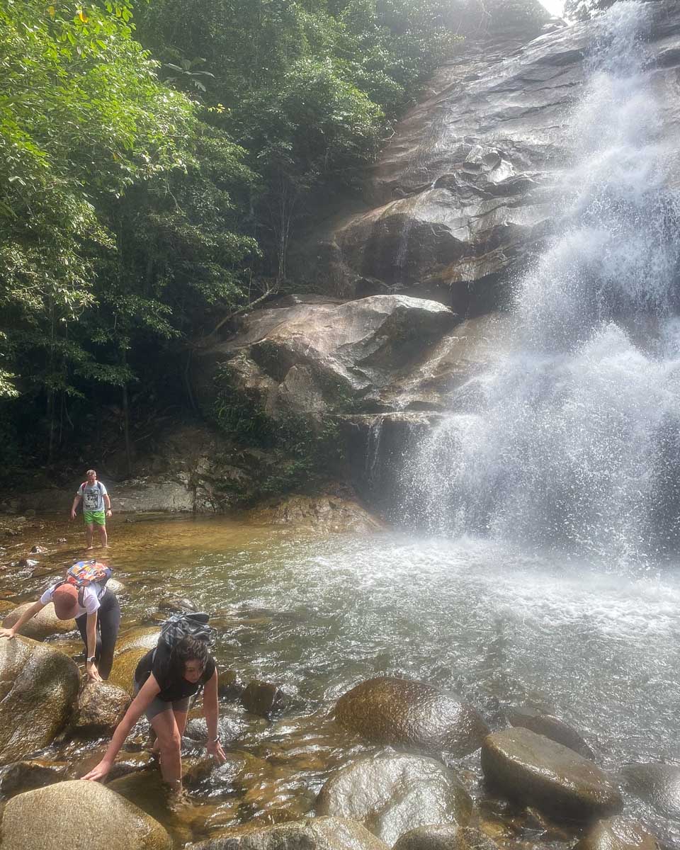 Primal Wilderness Experience people hike on a tour from Kuala Lumpur Malaysia