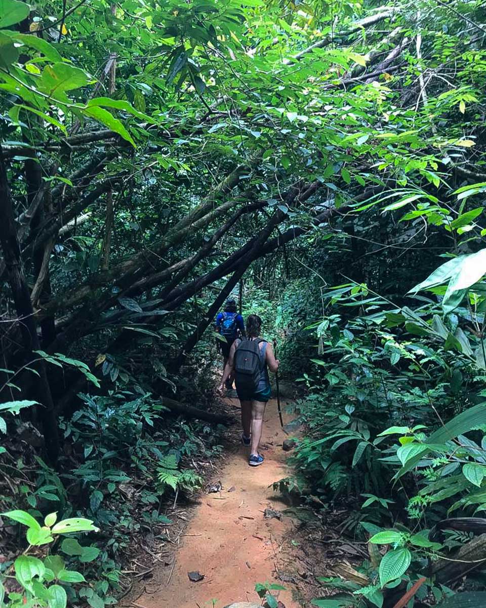 Primal Wilderness Experience people hiking on a tour from Kuala Lumpur Malaysia