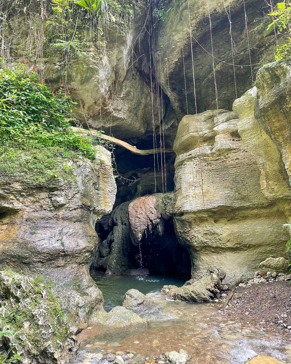 Puerto Rico as a Local looking into Arenales Caves on a tour from San Juan Puerto Rico