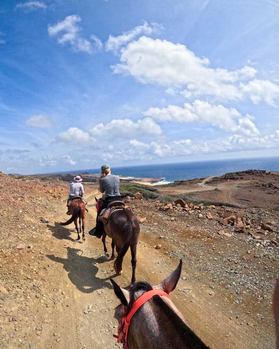 Rancho Loco a person rides horseback through Arikok National Park Aruba