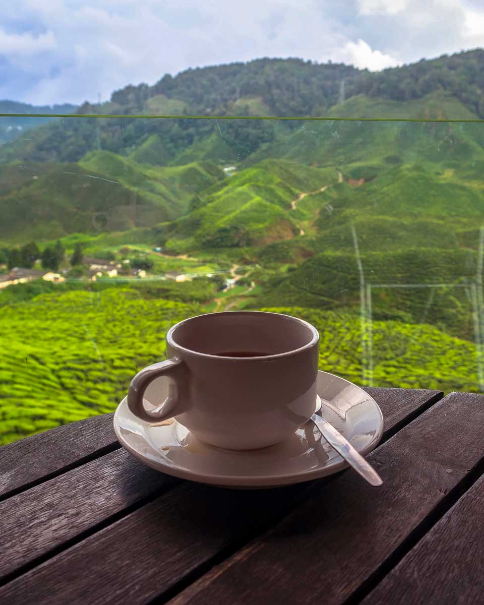 Tea being drank in the Cameron Highlands on a tour from Kuala Lumpur Malaysia