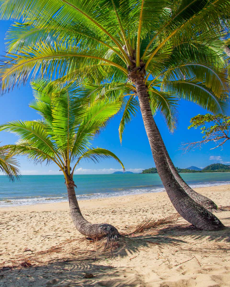 The Palm Cove Beach in Cairns Australia