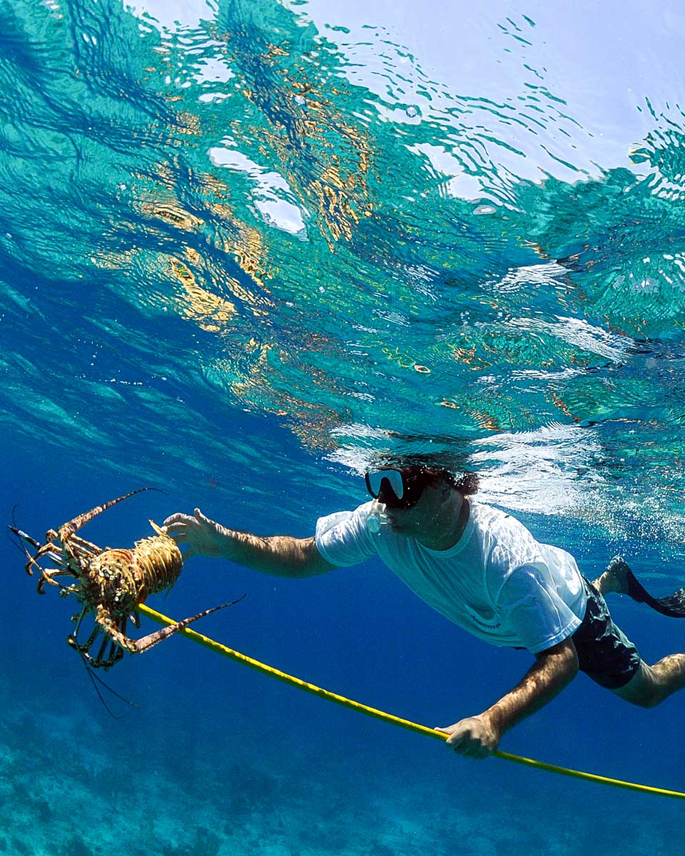 A man spearfishing in Trinidad