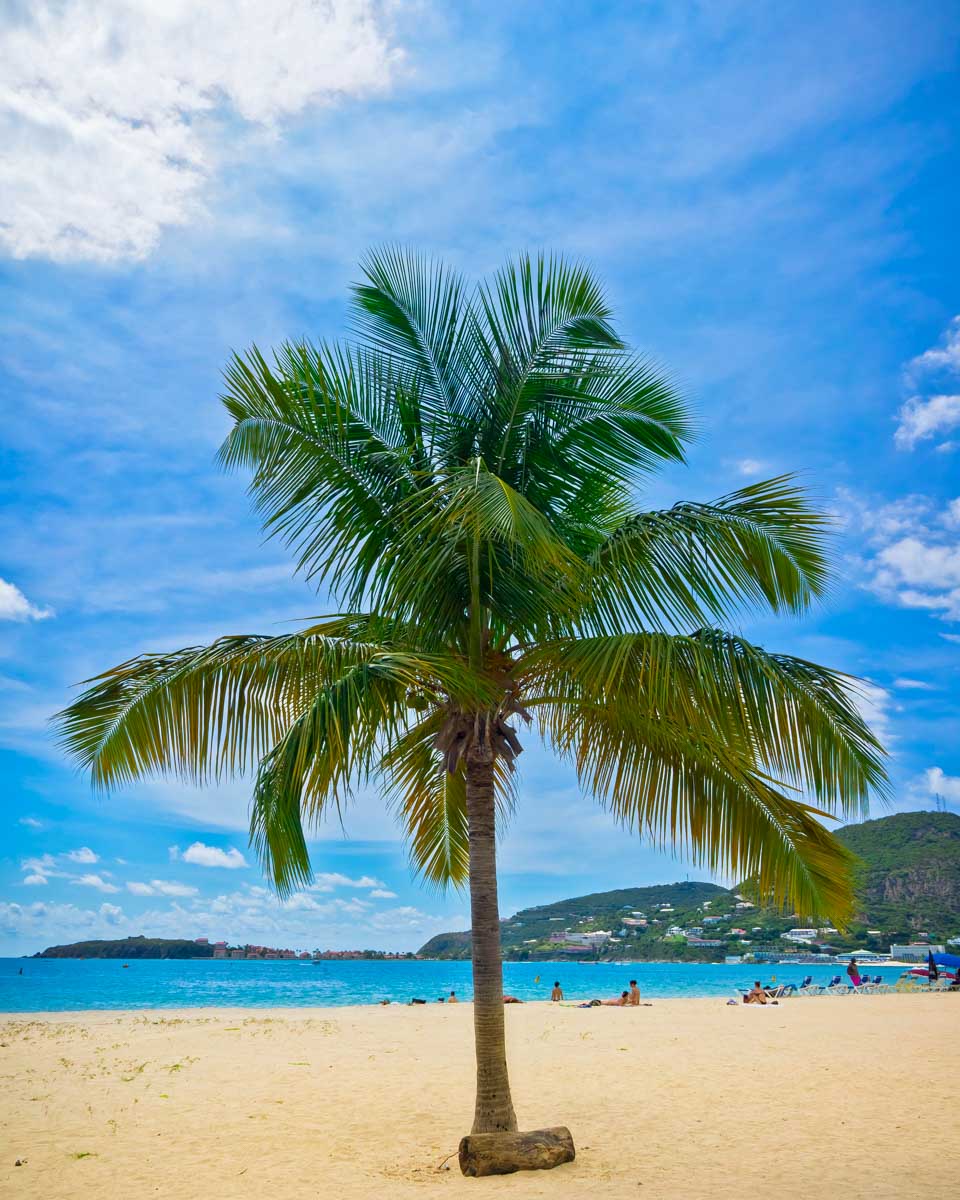 A-palm-tree-on-the-beach-in-St-Maarten Philipsburg