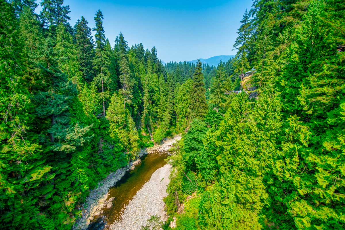 Capilano Bridge Park on a sunny summer day in Vancouver BC Canada