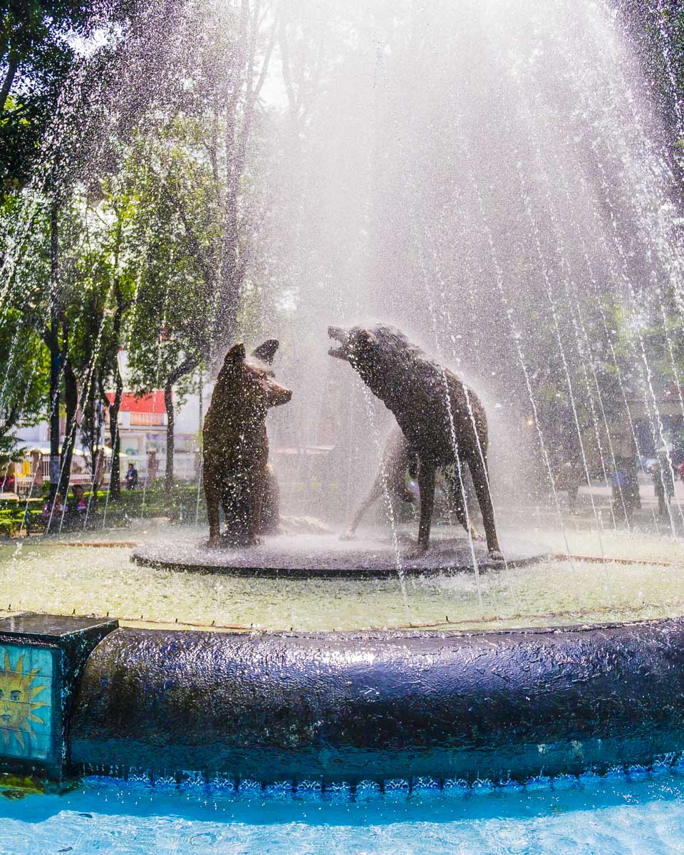 Fountain of drinking coyotes, Coyoacan, Mexico City Mexico