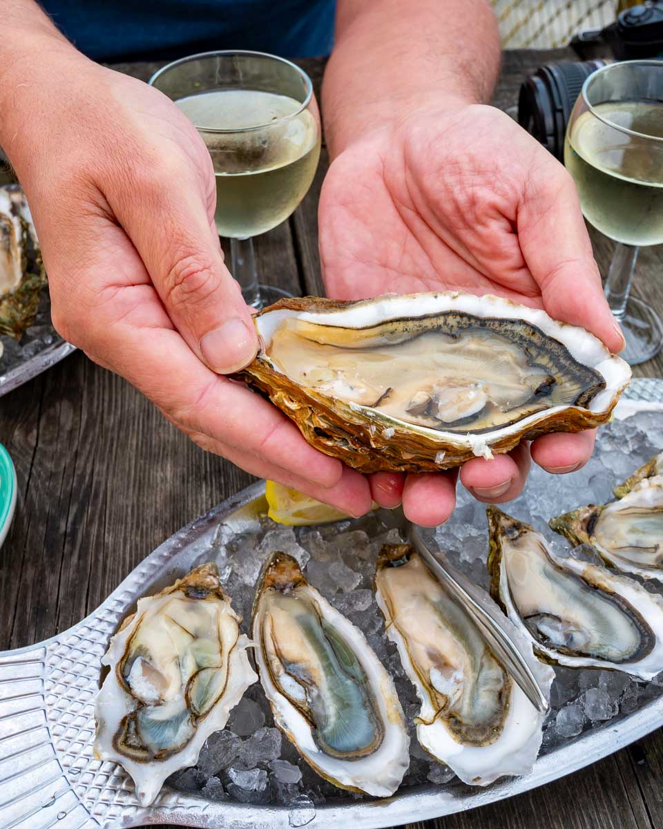Fresh oysters eaten on a tour from Bordeaux France