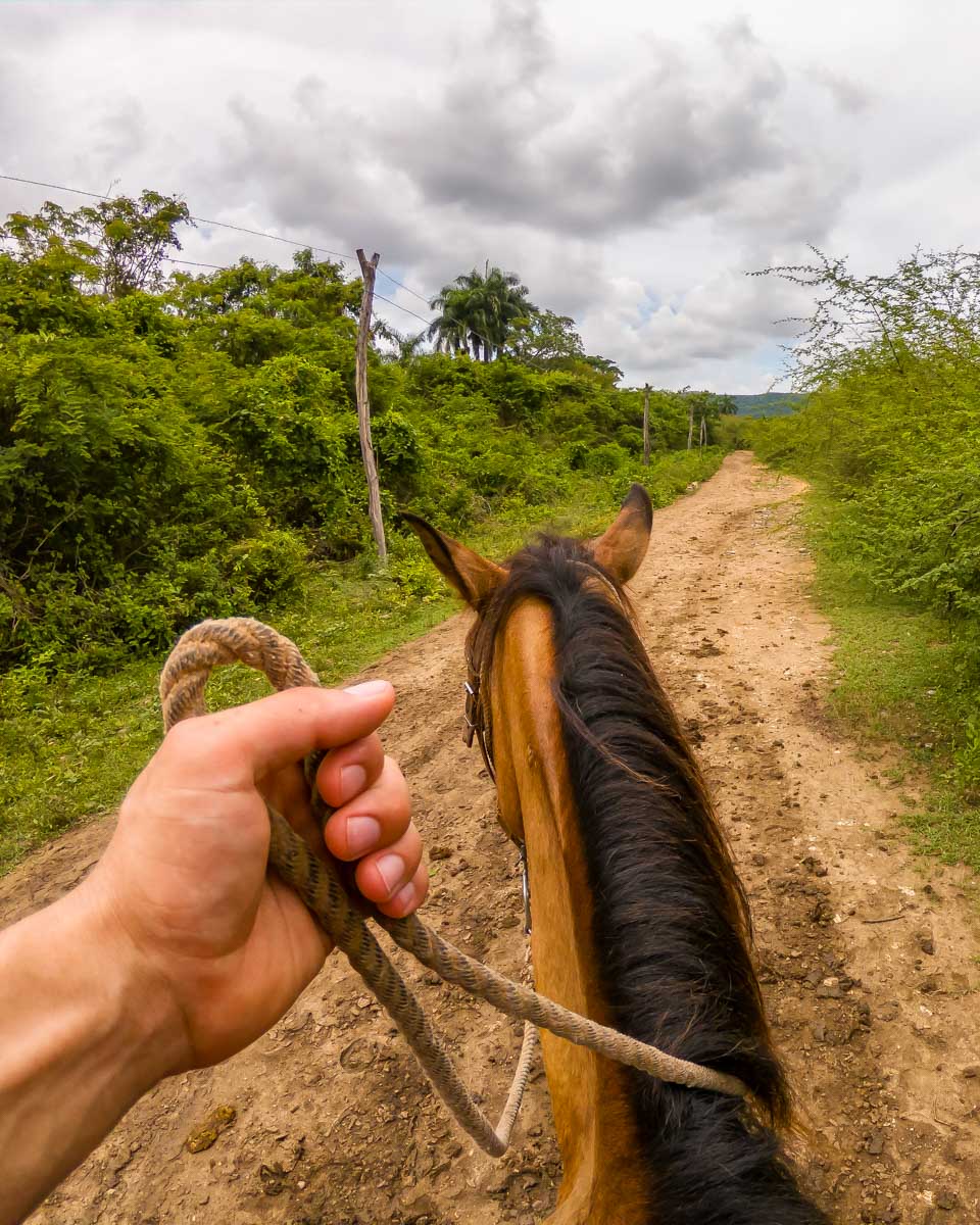 Trail-view-on-horseback-tour-near St Kitts and Nevis