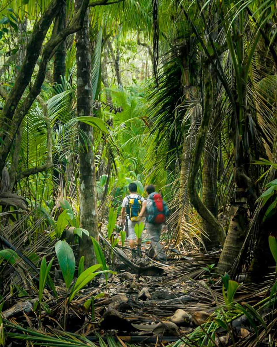 Two-hikers-walk-through-thick-jungle-in-Tambopata Peru from Puerto Maldonado
