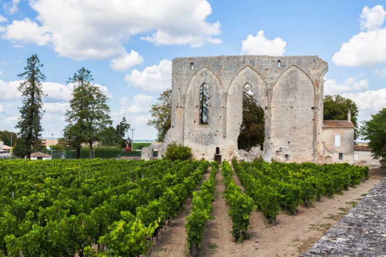 Vineyards of Saint Emilion with ruined church, Bordeaux France