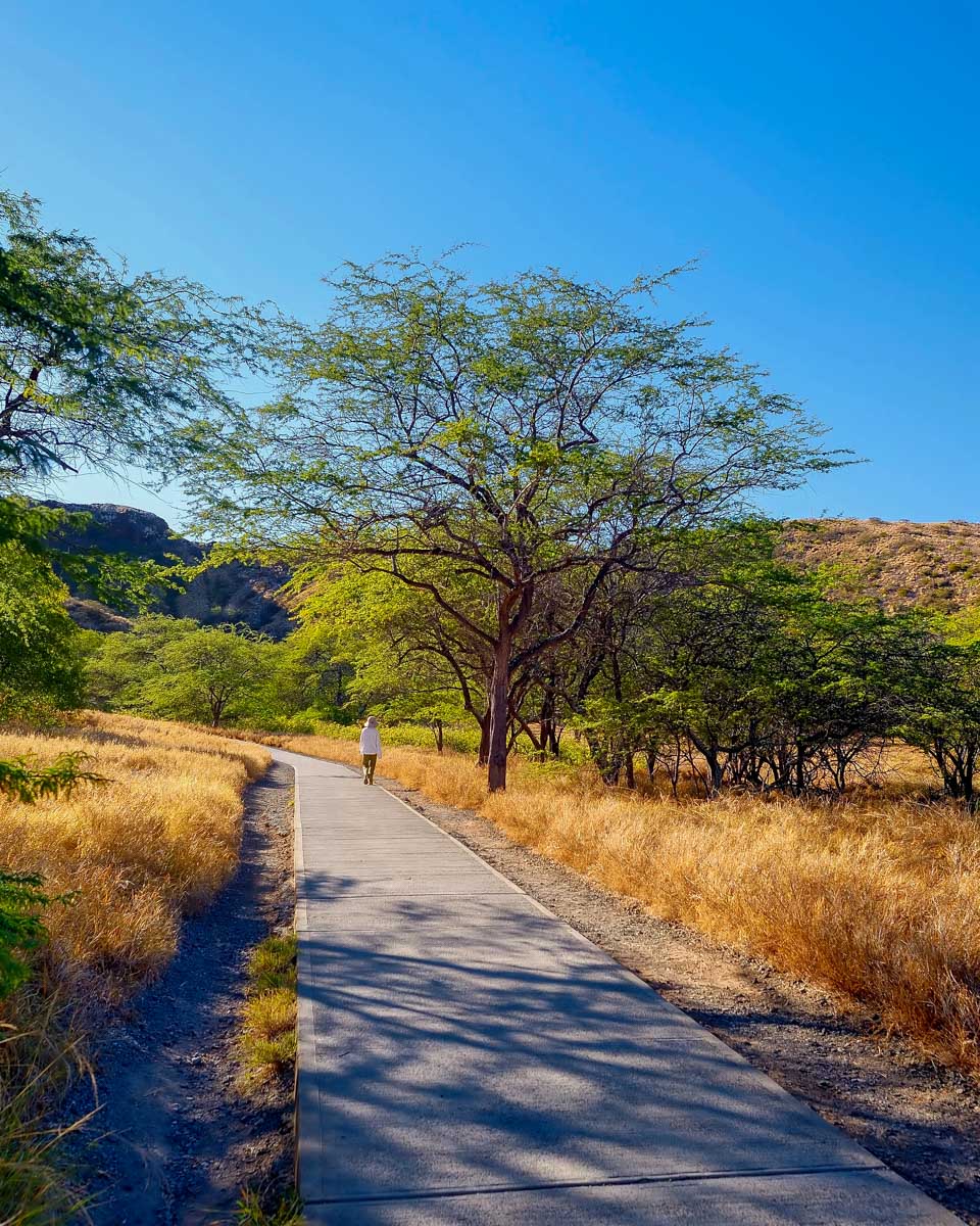 diamond-head-lookout-trail on honolulu hawaii