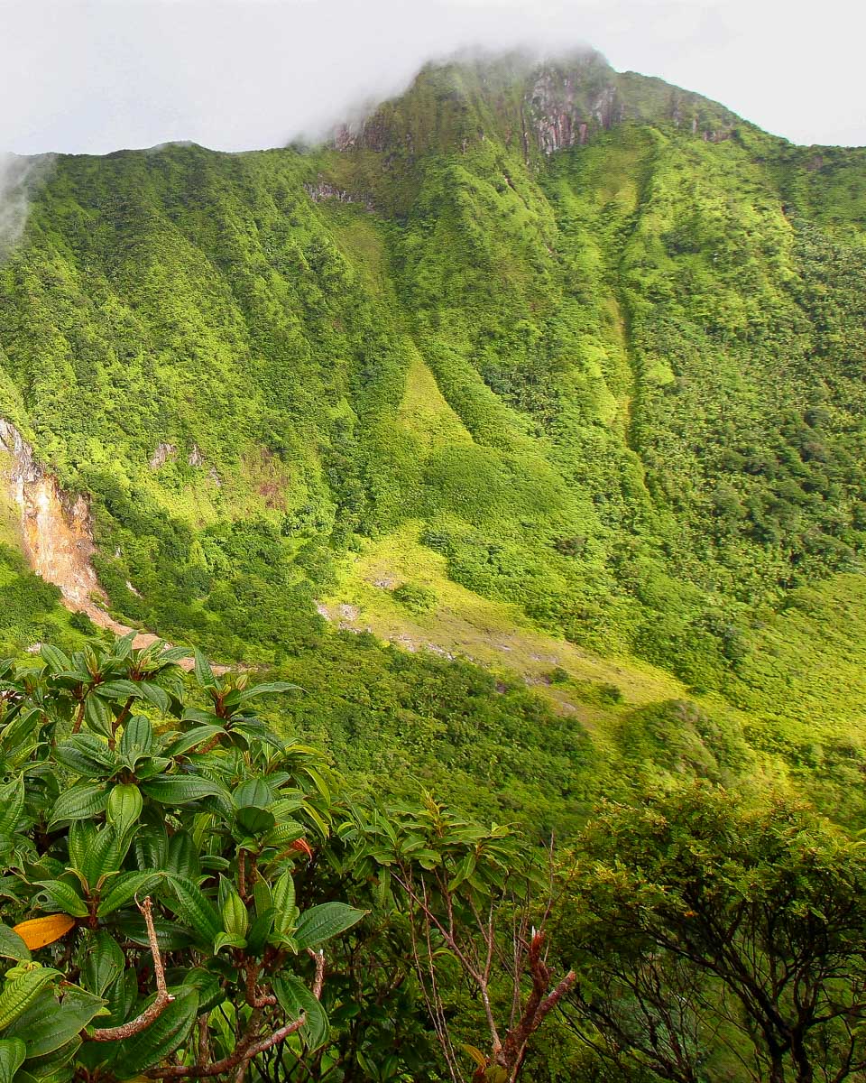 mt liamuiga crater in St Kitts and Nevis