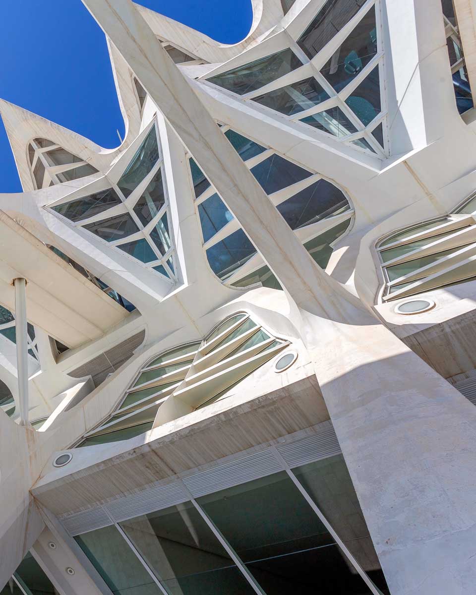 City of Arts and Sciences in Valencia Spain