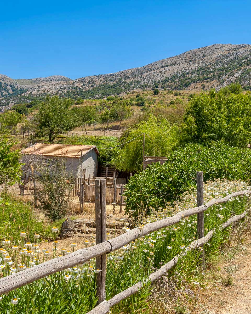 The countryside of Lassithi Plateau seen on a tour from Crete Greece