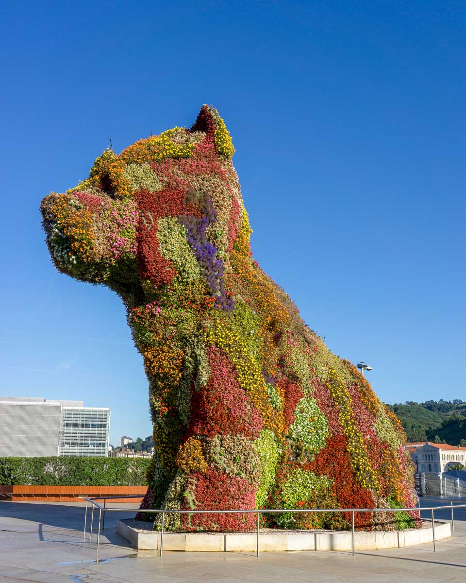 The flower dog seen on a tour of Bilbao Spain
