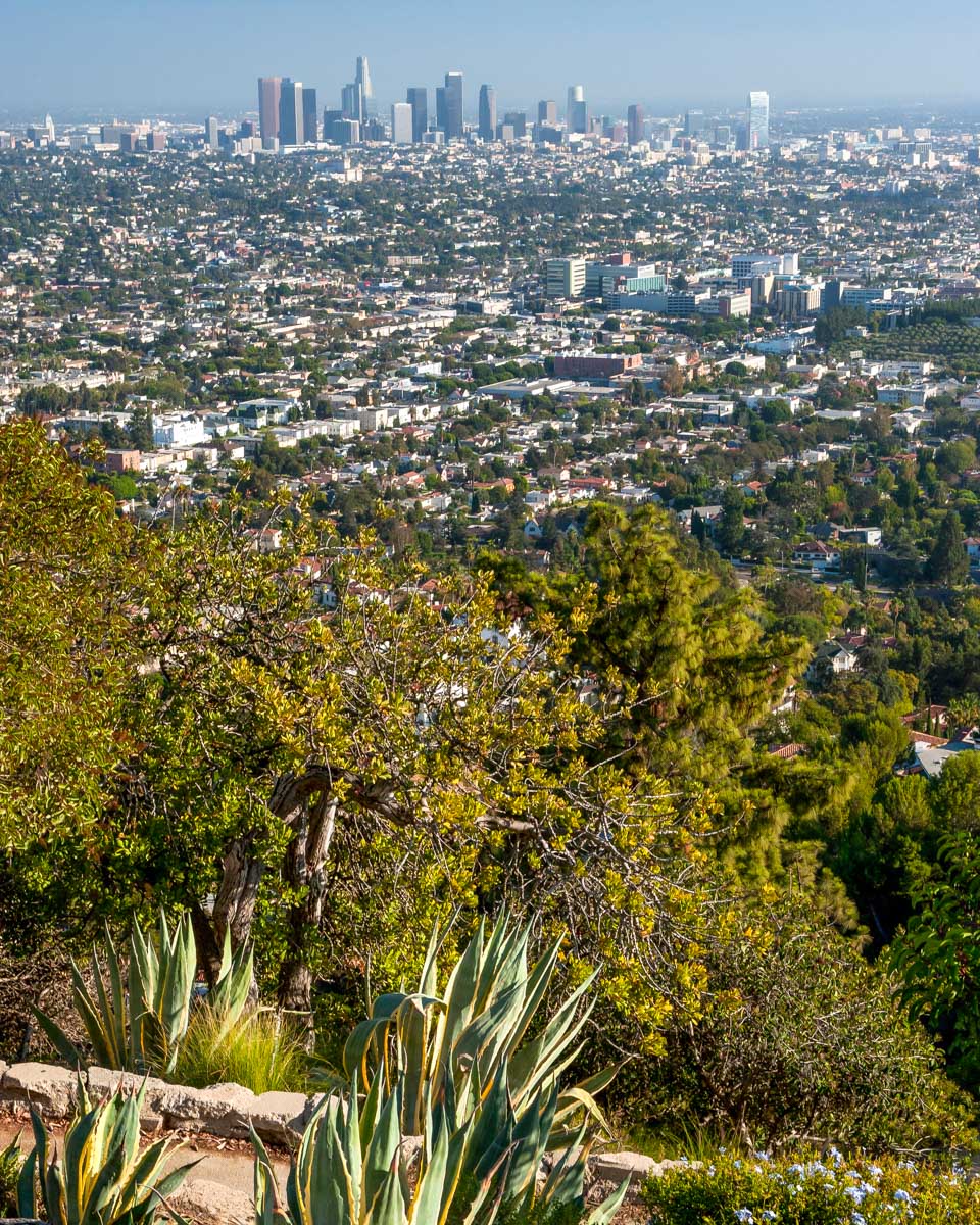 The view of Los Angeles from Griffith Observatory