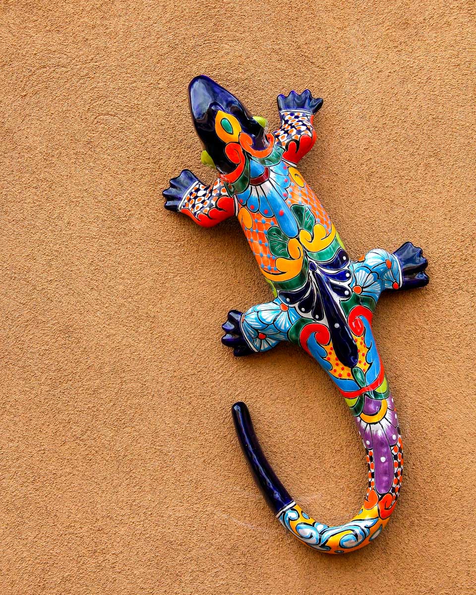A colorful lizzard seen on a tour of Santa Fe New Mexico