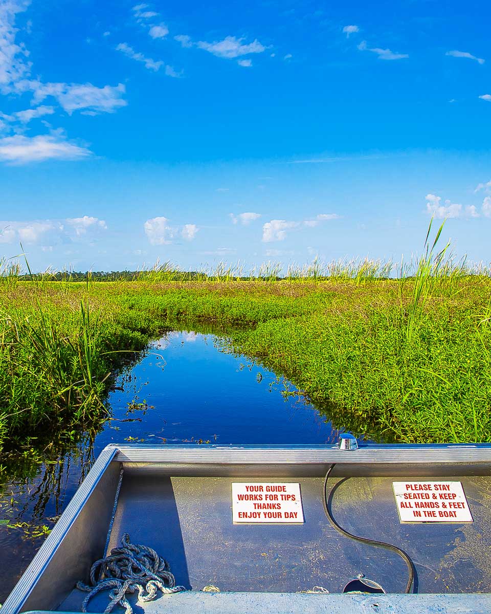 An airboat in the everglades on a tour from Orlando Florida 1