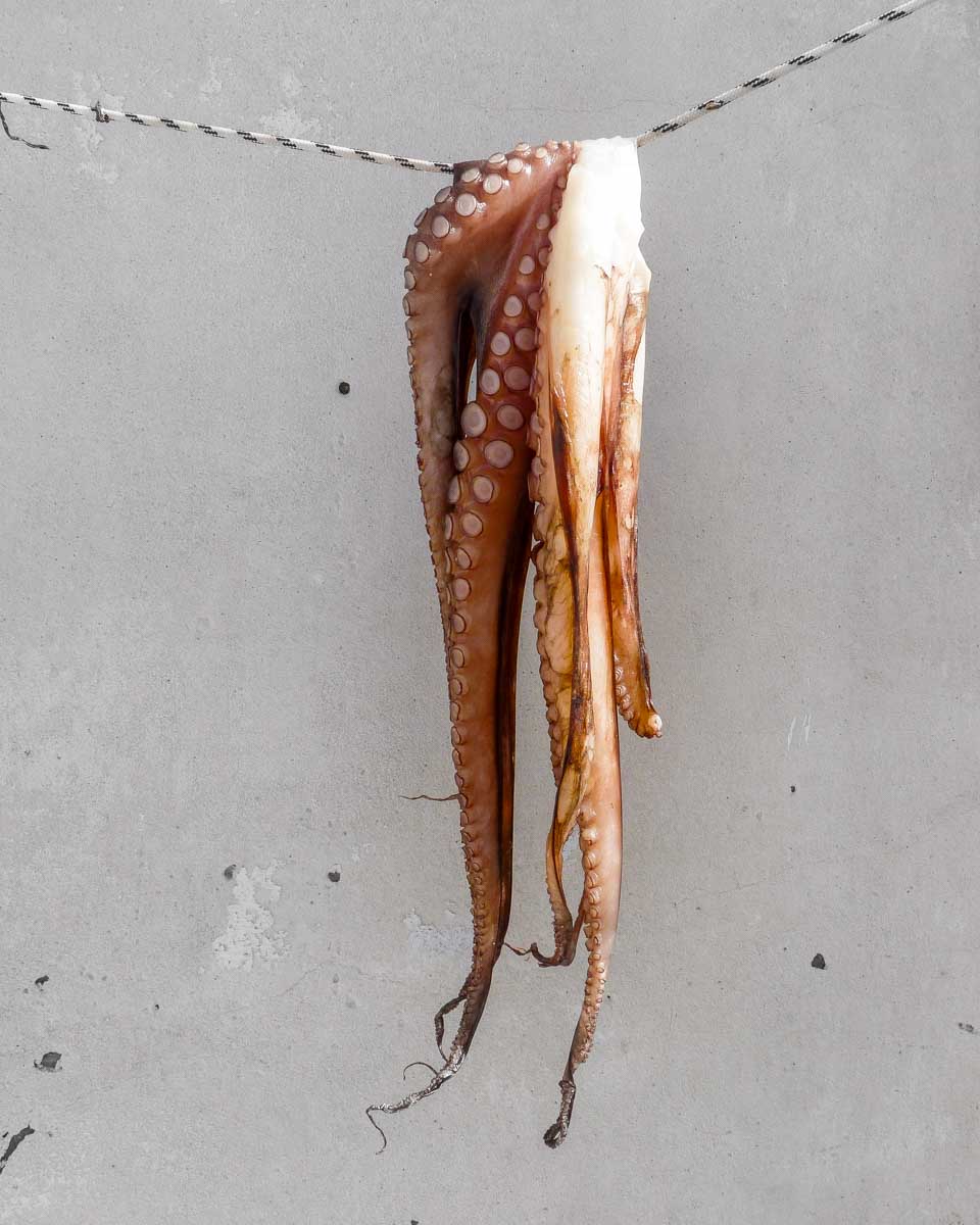 An octopus drying on a food tour in Naxos Greece