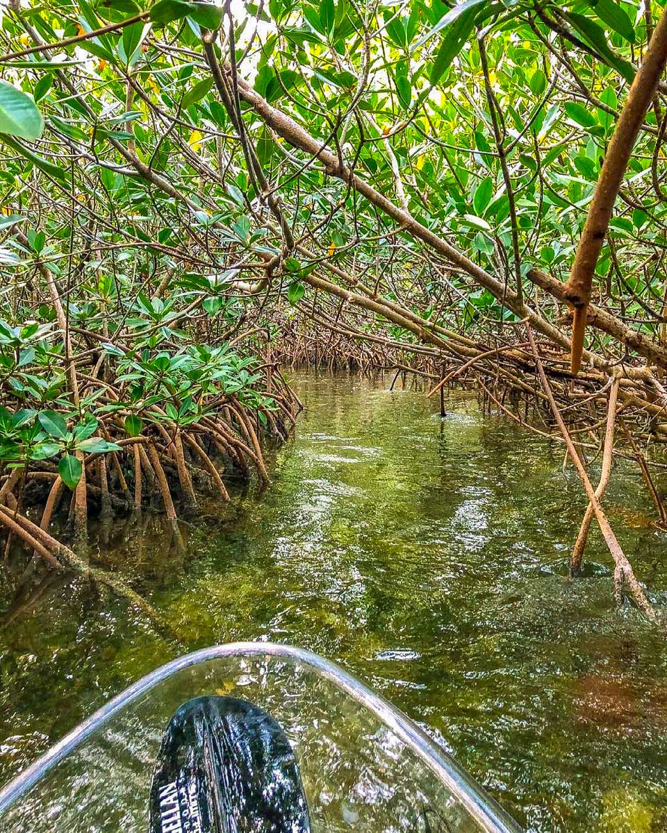 Get Up And Go Kayaking crystal river kayak tour from Orlando Florida
