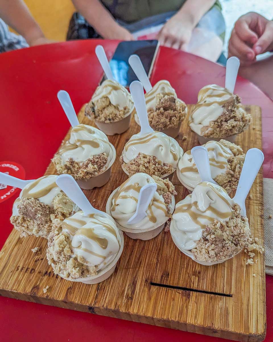 Ice-cream-eaten-on-a-food-tour-in-Houston Texas