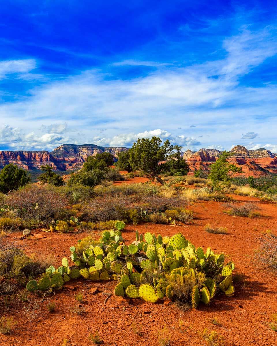 Sedona desert near the vortexes on a tour from Sedona Arizona