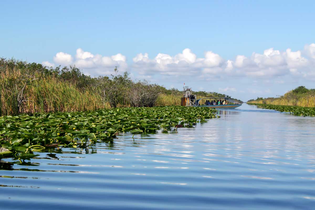 The Everglades National Park on a tour from Orlando Florida