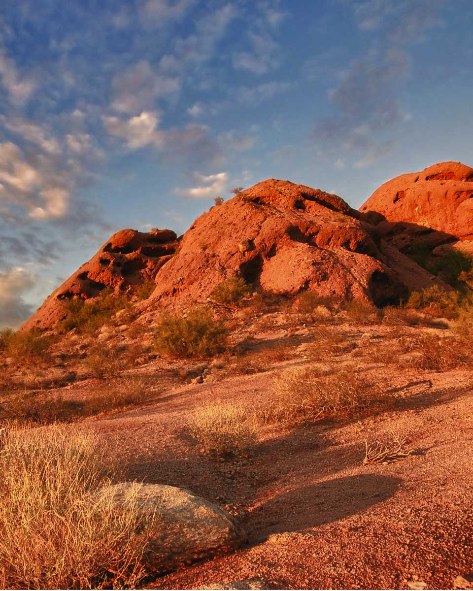 The Sonoran Desert at sunset on a hiking tour from Phoenix Arizona