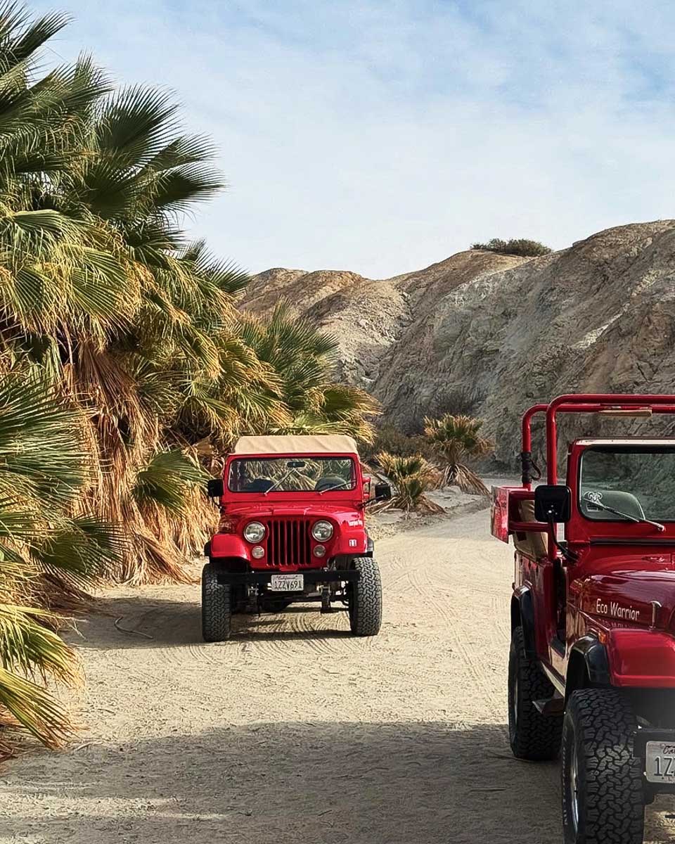 The jeeps we rode in on a tour from Palm Springs with Red Jeep Tours_