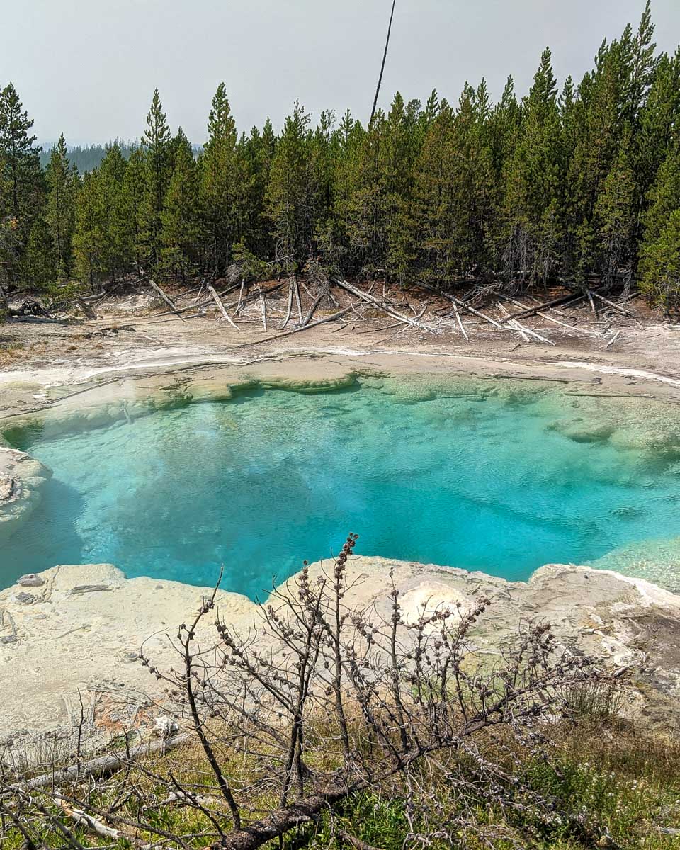 A colorful natural spring seen on a tour to Yellowstone National Park from Jackson Hole Wyoming