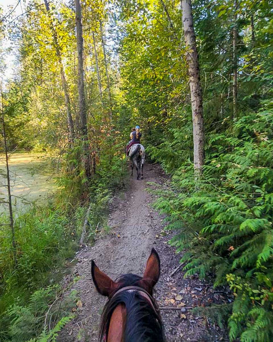 A-horseback-riding-tour-in the Grand Tetons from Jackson Hole Wyoming