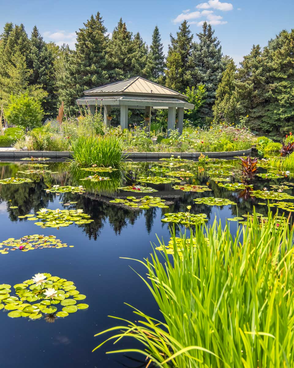 A pavillion and water at the Denver Botanical Gardens Colorado