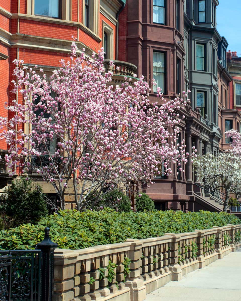 Back Bay in Boston Massachusetts