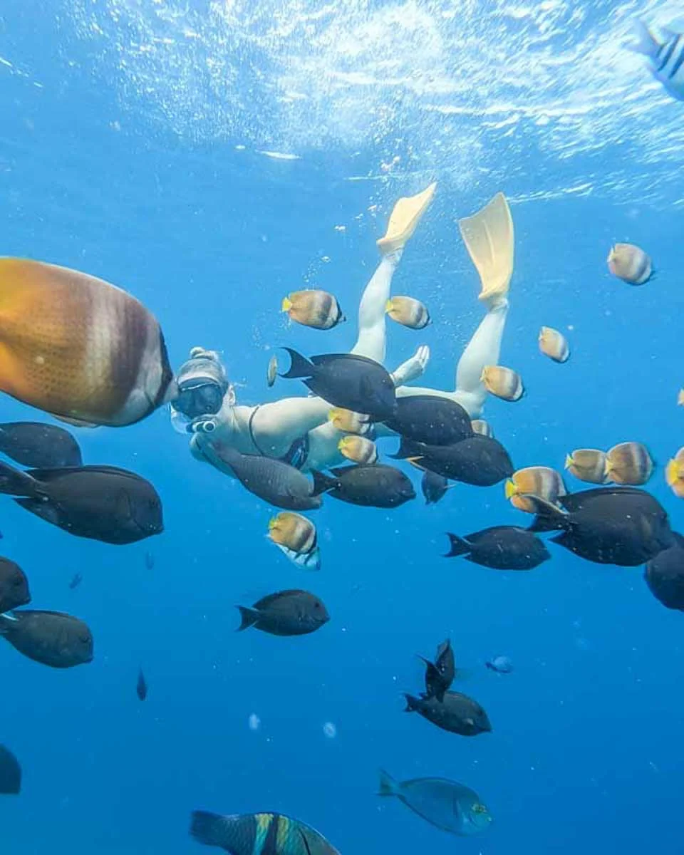 Bailey-snorkels-on-a-tour from Maui Hawaii