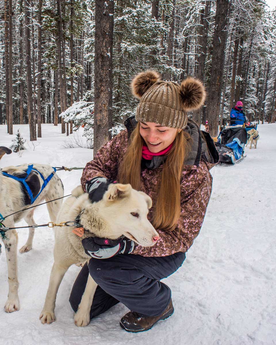 Bailey-with-one-of-the-dogs-on-our-dog-sledding-tour-in Fairbanks Alaska