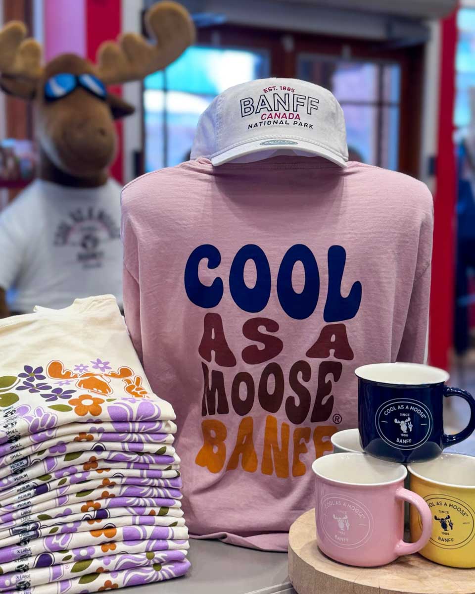 Cool As A Moose in Banff Alberta (1)