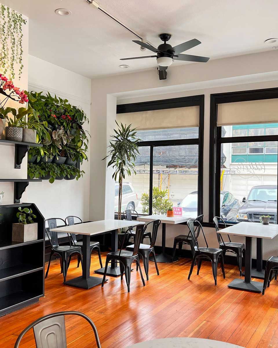 Fiddle Fig Cafe & Coffee in San Francisco California