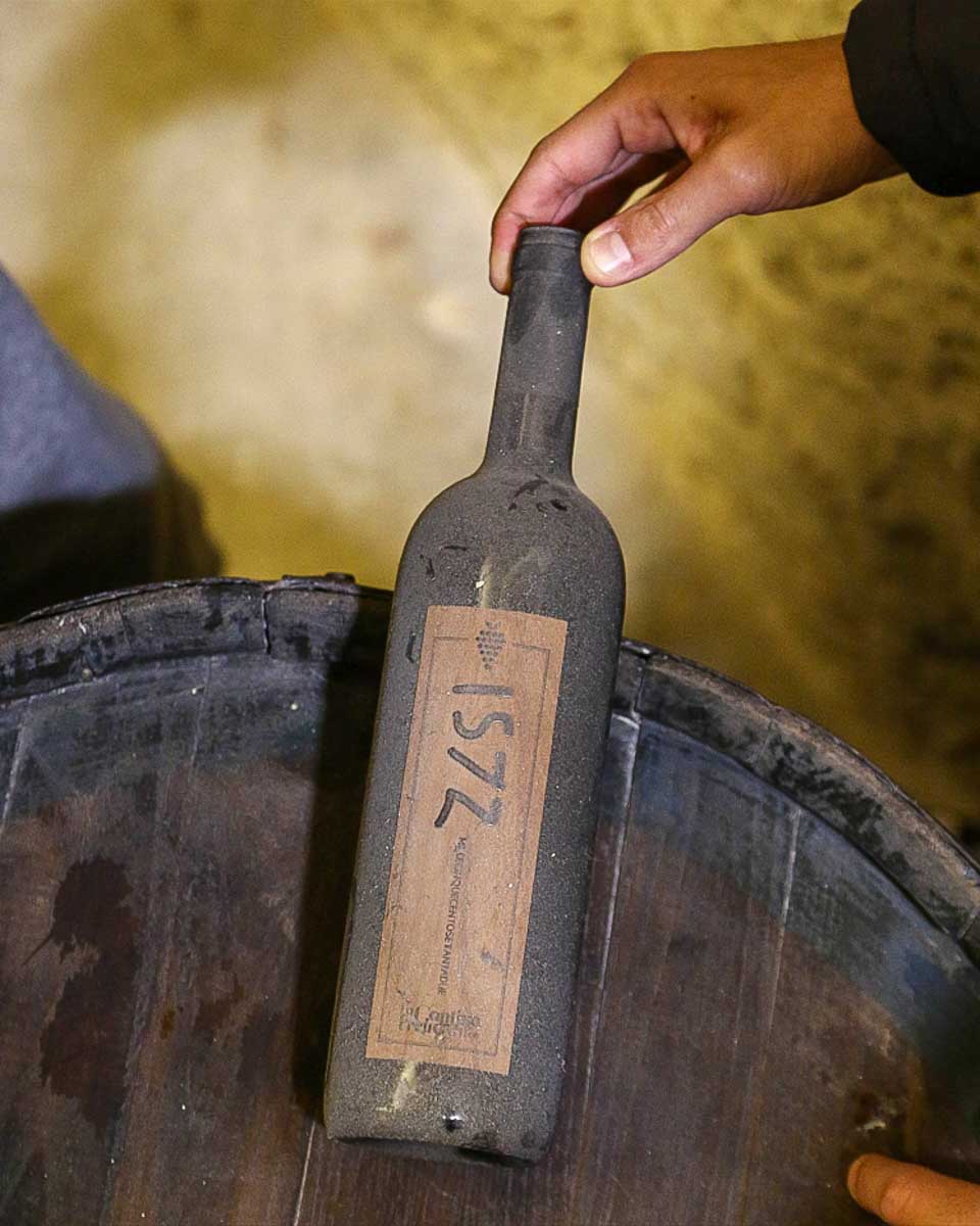 La Cantina Frrud - Museo del Vino seen on a tour from Bari Italy