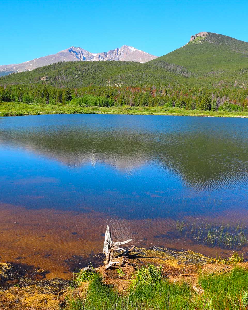 Lily Lake in Jasper National Park on a tour from Denver Colorado