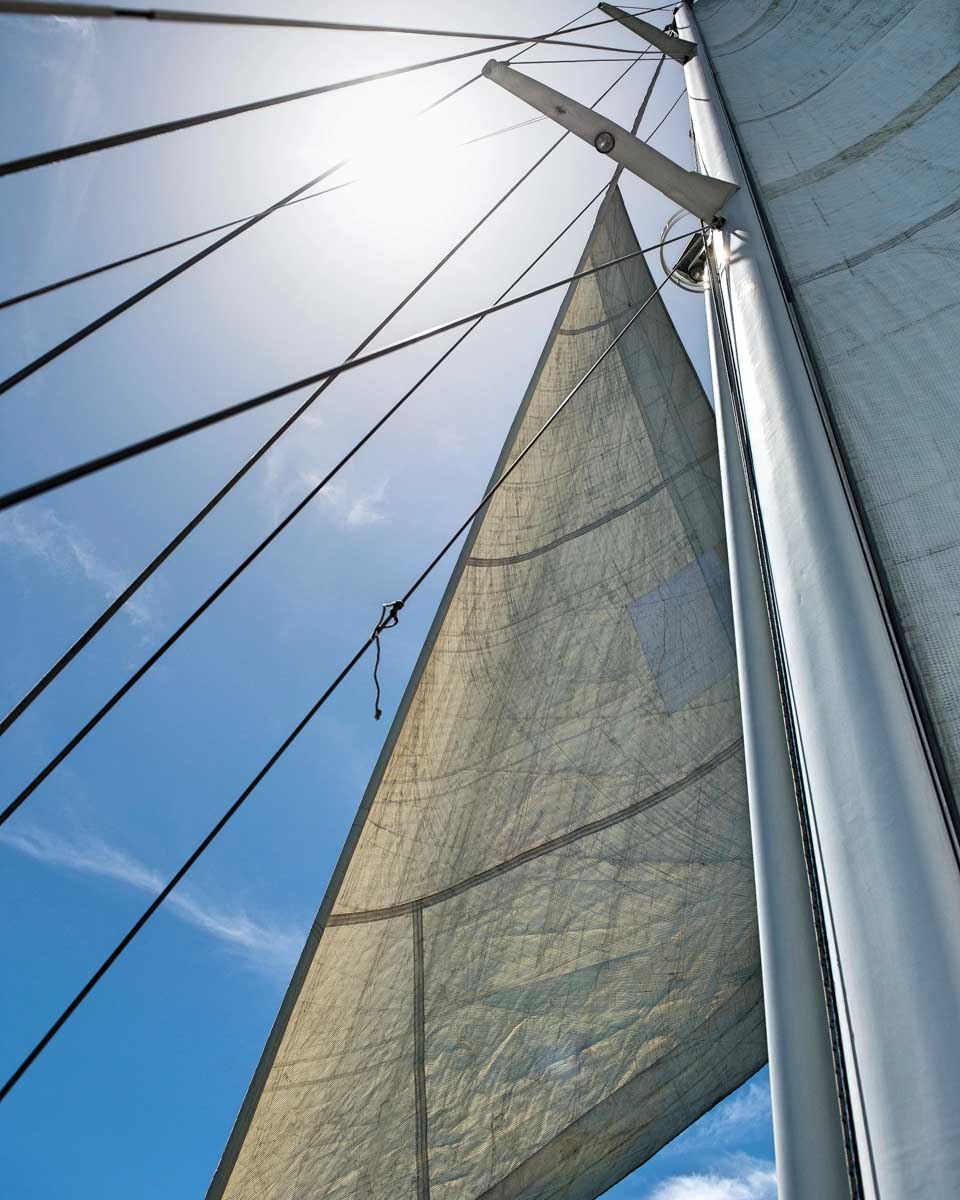 A sail seen on Lake Okanagan on a tour from Kelowna BC