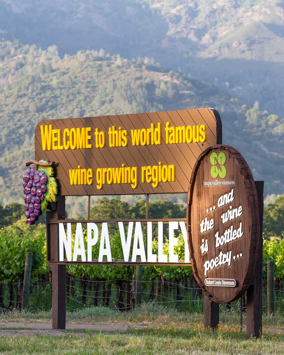 Bailey-at-a-winery-during a wine tour in Napa California