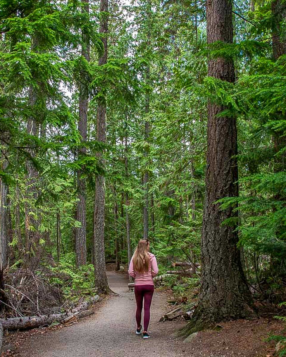 Bailey hikes through Sipoonkorpi National Park on a tour from Helsinki Finland