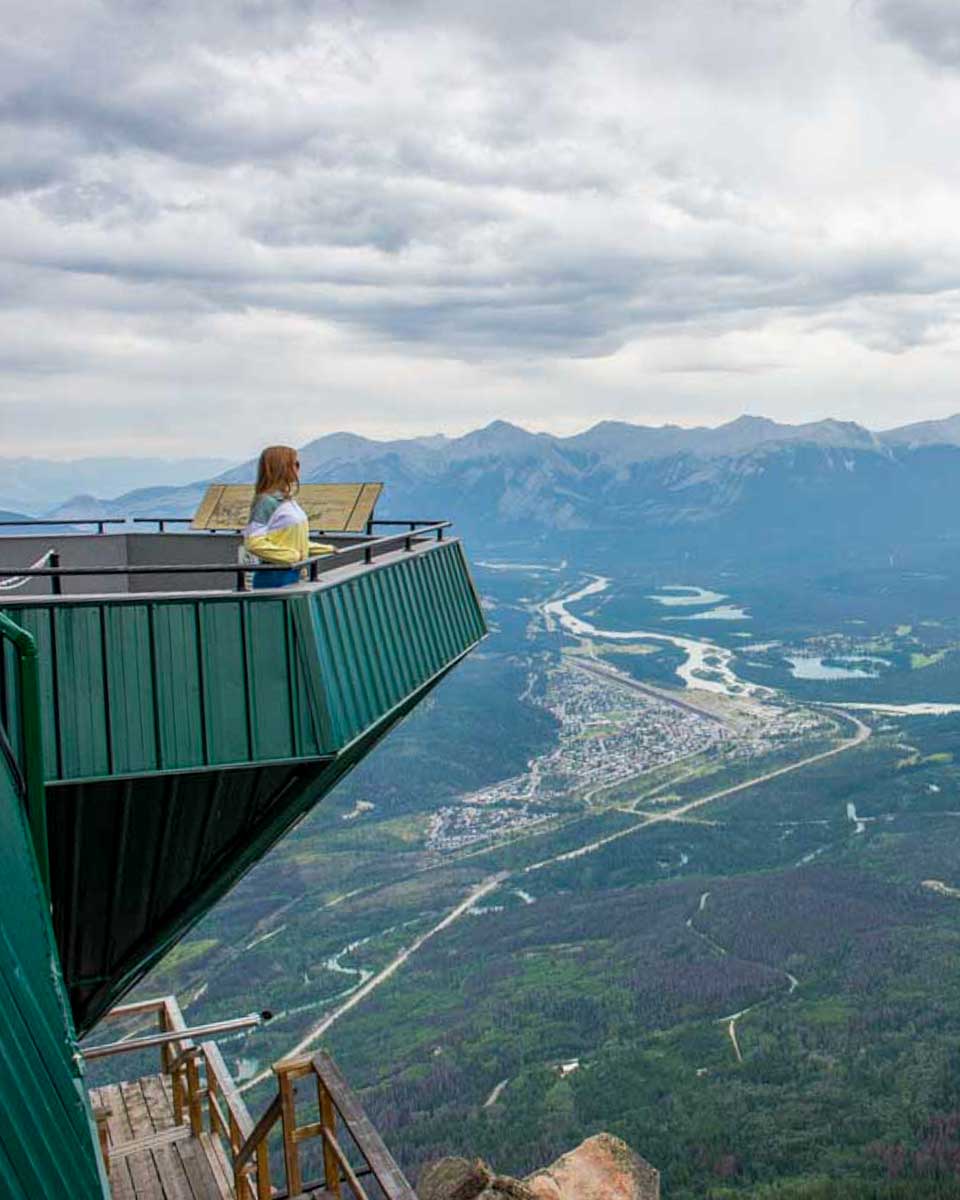 Bailey-looks-over-Jasper-from-the-top-of-the-Jasper-Skytram-in-Alberta-Canada