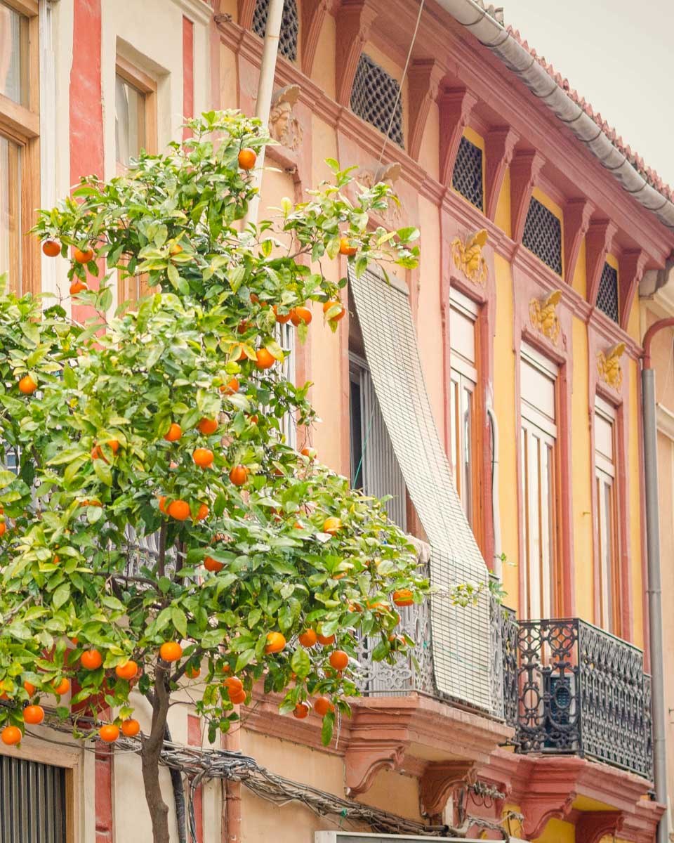 Colorful houses seen in Valencia Cabanyal district