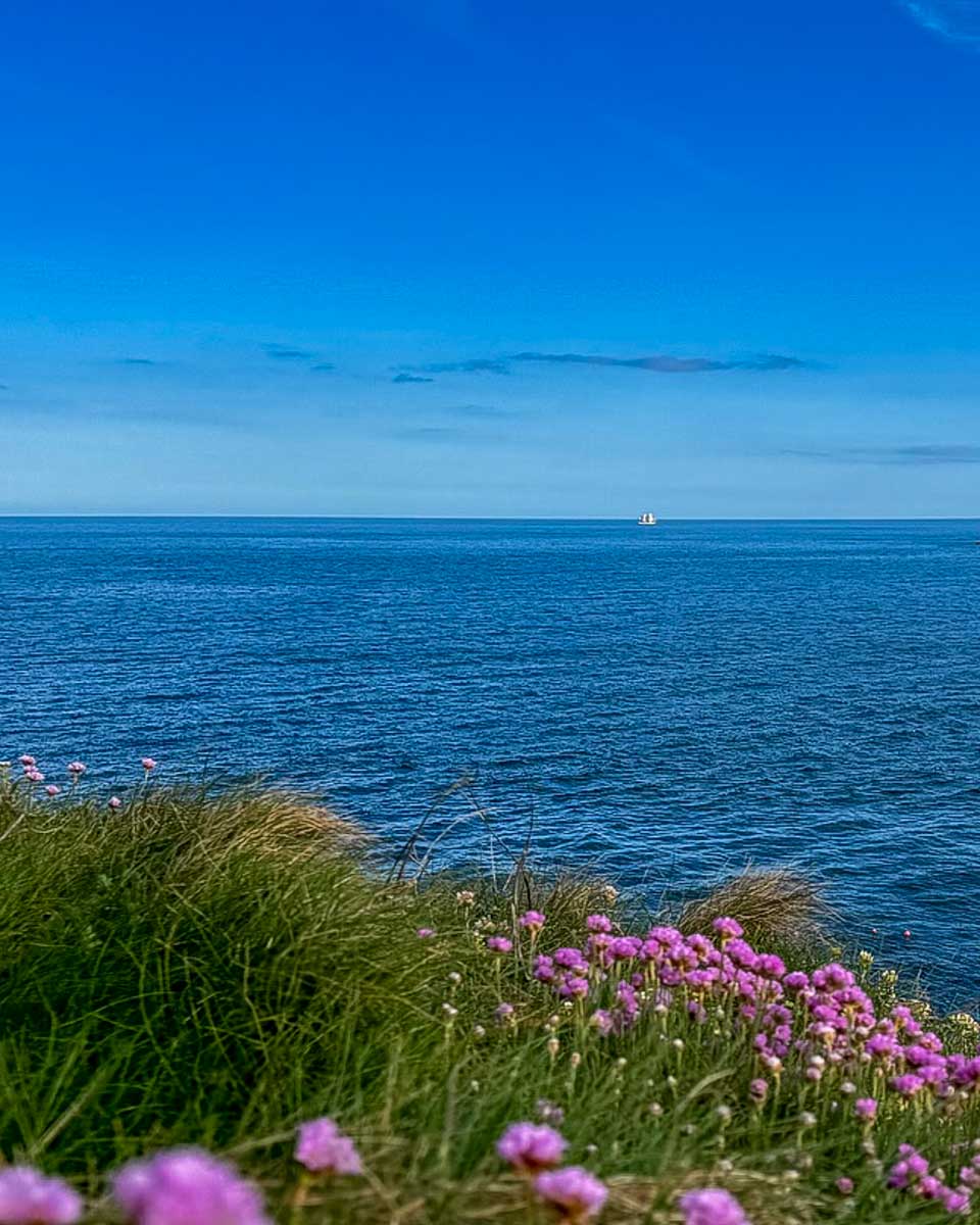 Gormú the Toe Head hike seen on a tour from Cork Ireland 1