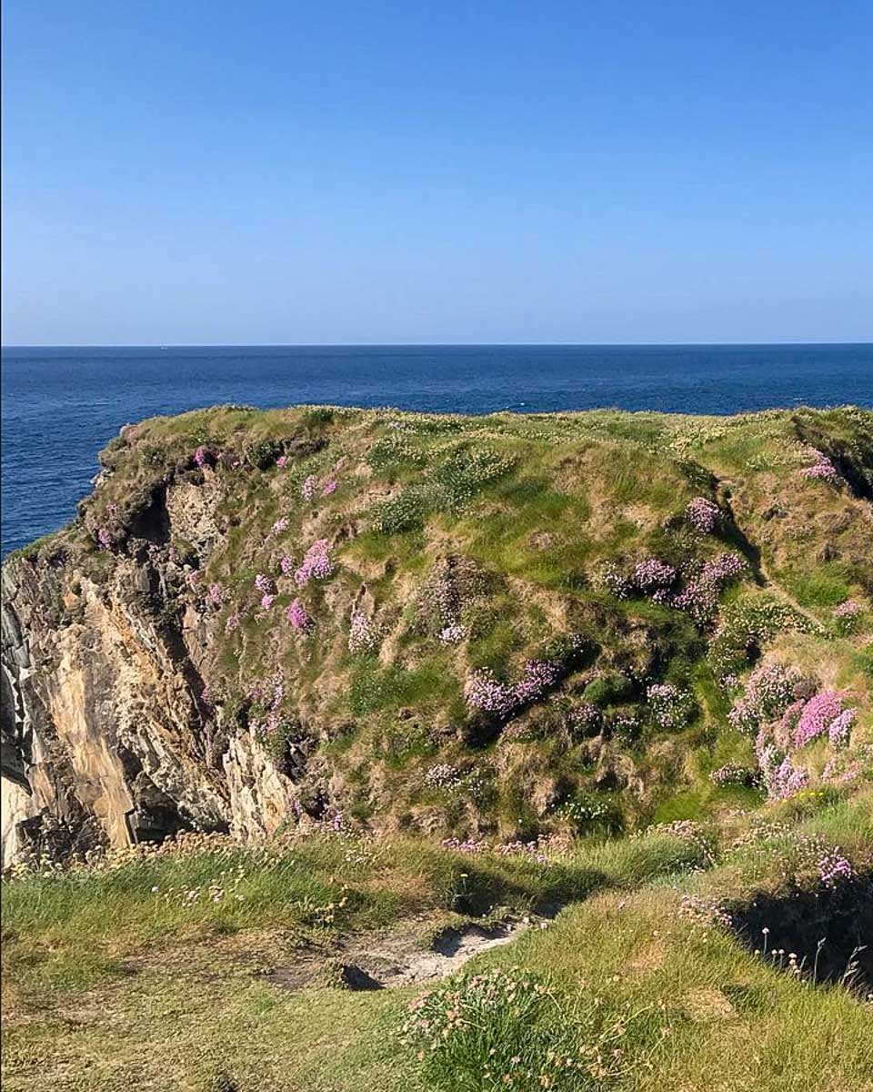 Gormú the Toe Head hike seen on a tour from Cork Ireland