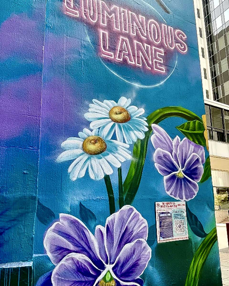 Murals in Charlotte North Carolina seen on a tour